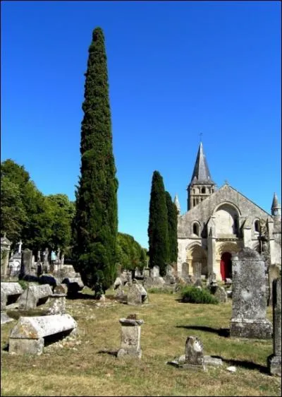 Ce conifre des rgions mditerranennes est l'arbre des cimetires par excellence. C'est... ?