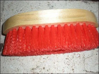 Quelle est cette brosse ?