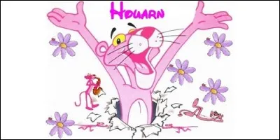 On fête les Houarn le 17 juin, mais quelle est l'origine de ce prénom ?