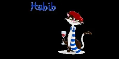 Que signifie le prénom Habib, d'origine arabe ?