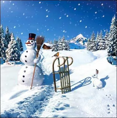 Quand il y a beaucoup de neige, on peut en profiter aussi pour utiliser cet autre accessoire qu'on voit  ct du bonhomme de neige et avec lequel on descend les pentes  toute vitesse...