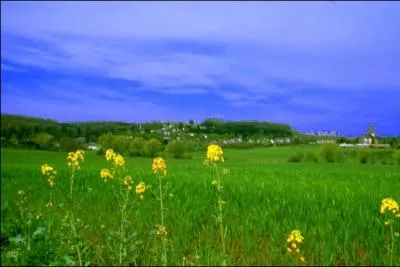 Deux rgions gographiques partagent le pays. L'Oesling au nord et le 'Bon Pays' qui couvre le centre et le sud. En luxembourgeois, 'Bon Pays' se dit :