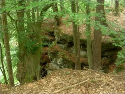 Ce 'Bon Pays' comprend plusieurs sous-rgions, dont une aux paysages vallonns situe prs de la frontire allemande. Echternach en est la ville principale. Il s'agit de la ...