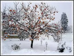Quel est le mois d'hiver le plus froid ?