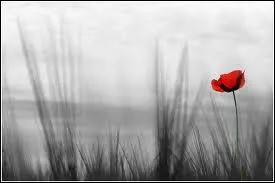 Quel est le titre de ce livre autobiographique de Betty Batoul ?