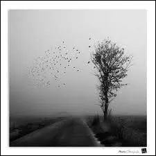 Qui chante 'Vive le vent de l'hiver et la chanson de Prévert continue sa route à l'envers' ?