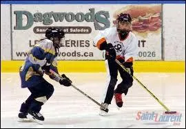 Quel est ce sport d'équipes inventé au Canada dans les années 60 qui se pratique sur patinoire, avec patins, un bâton droit sans palette et un anneau de caoutchouc ?