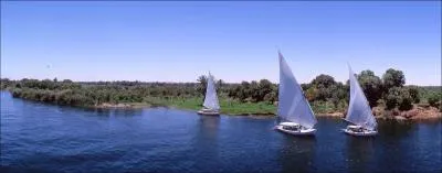 Fleuve le plus long de son continent :