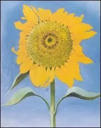 Un tournesol magnifique, sous un ciel bleu, peint par ?