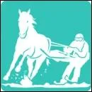 Quelle est cette discipline ?