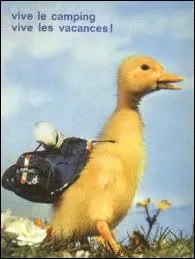 De quel canard caractriel capable de se dplacer en voiture a-t-on pu suivre les aventures de 1965  1970 sur la premire chane de l'ORTF ?