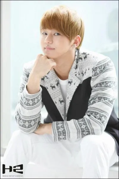 Qui est le chanteur principal ?