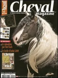 Combien il y a de fiches dans le magazine ?