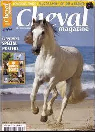 Combien il y a de maxi-fiches dans le magazine ?