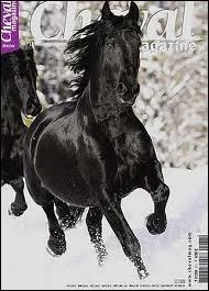 Quel est l'ancienne mascotte du magazine ?