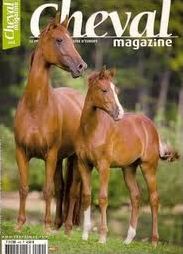 Quiz Chevaux