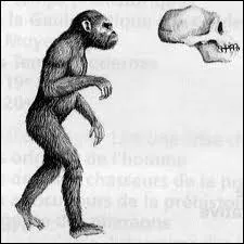 Le premier hominid a vcu entre 4, 4 millions d'annes et 1 million d'annes avant notre re. Comment l'appelle-t-on ?