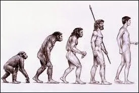 Pour quelle raison majeure, la bipdie a-t-elle permis  l'espce humaine une telle matrise de son environnement ?