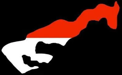 Cette forme appartient aux ... .