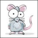  Qu animal es ? Quel est cet animal ?