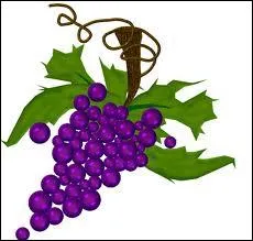 Comment s'appelle ce fruit ?