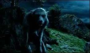 Quelle est sa vraie nature ?