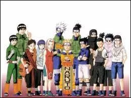 Qui sont ses deux camarades d'quipes ninjas ?