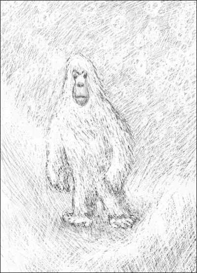 Ds le XIXme sicle, des tmoins prtendent qu'une crature effrayante parcourt l'Himalaya : il s'agit du... ?