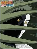 Quel village est originaire Zetsu ?