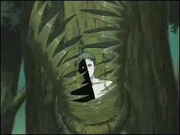 Qui est son coquipier ?