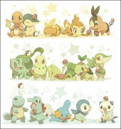 Que sont ces Pokmons ?