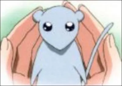 Quel est ce Pokmon ?