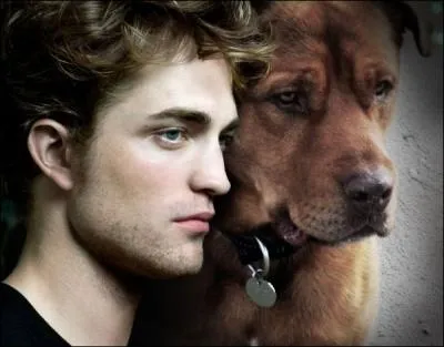 Qui a crit : 'Chien : Spcialement cr pour sauver la vie  son matre'