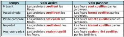 A la voix passive, ' On a vu le voleur en pleine action. ', devient : ...