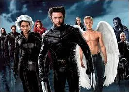 Comment s'intitule le troisime volet ?