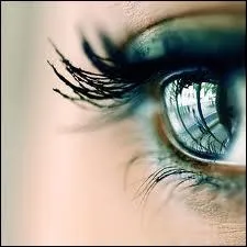 Comment dit-on les 'yeux' en anglais ?