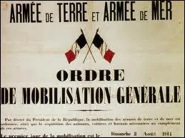 Histoire : quel vnement est considr comme tant le dclencheur de la Premire Guerre mondiale ?