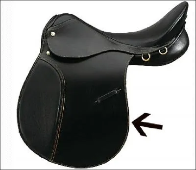 Quelle partie de la selle est indique ?