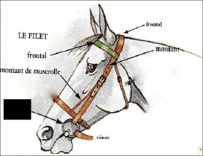 Quelle partie du filet est noircie ?