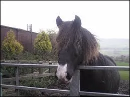 Quel est le nom de ce type de liste ?