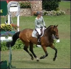 Comment faire quand un cheval ne veut pas ralentir ?