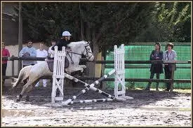 Quel est le nom de cet obstacle ?