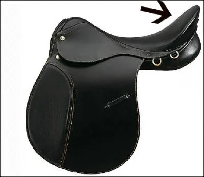 Quelle partie de la selle est indique ?