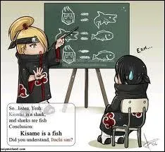 Selon l'image, Kisame est donc ...