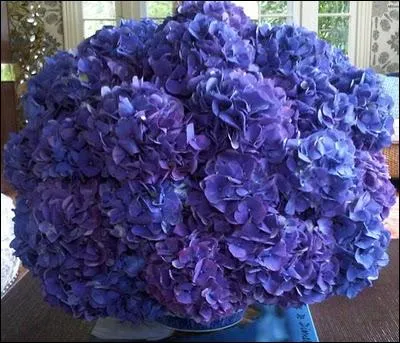 Un superbe bouquet dans sa simplicit, compos uniquement de quelle fleur ?