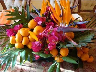 Une trs jolie composition tropicale,  partir de fruits et de fleurs. Quelles sont ces fleurs oranges qui ressemblent  des crtes d'oiseaux ?