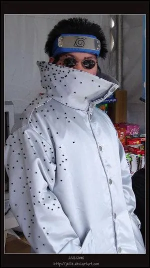 Quel est ce cosplay ?