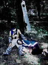 Qui sont ces cosplays ?