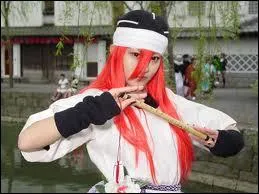 Quel est ce cosplay ?