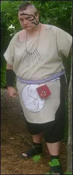 Quel est ce cosplay ?